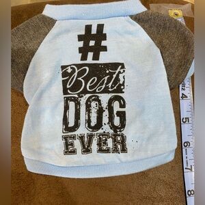 Best Dog Ever Blue and Gray Dog Shirt